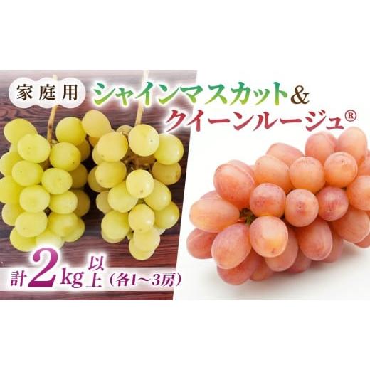 ふるさと納税 ぶどう 長野県 東御市 先行受付2026年発送 家庭用シャインマスカット&クイーンルージュ(R) 合計2kg以上(各1〜3房)|さとのみ果樹園 2026年9…