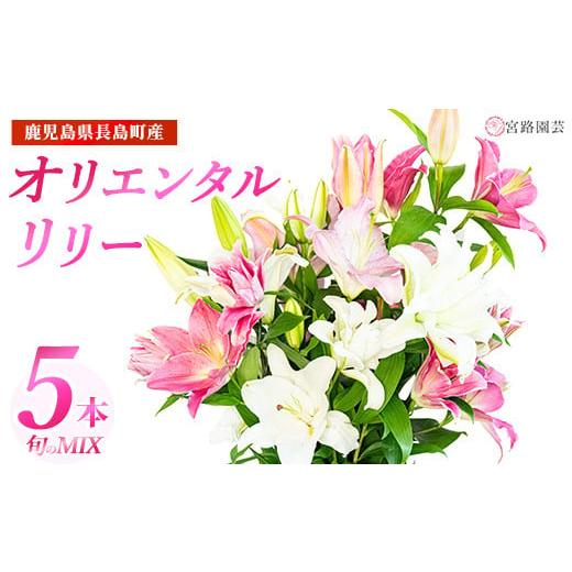 ふるさと納税 雑貨・日用品 花 鹿児島県 長島町 12月28日出荷 オリエンタルリリー(ユリ)旬のミックス 5本 ユリ 花 ユリの花 百合 ゆり 生花 切花 切り花 宮…