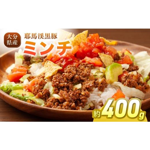 ふるさと納税 豚肉 ハンバーグ 大分県 中津市 耶馬渓黒豚 ミンチ 400g (200g×2パック)| 肉 おにく 豚 ぶた 豚肉 ミンチ 単品 送料無料 大分県 中津市 400g (…