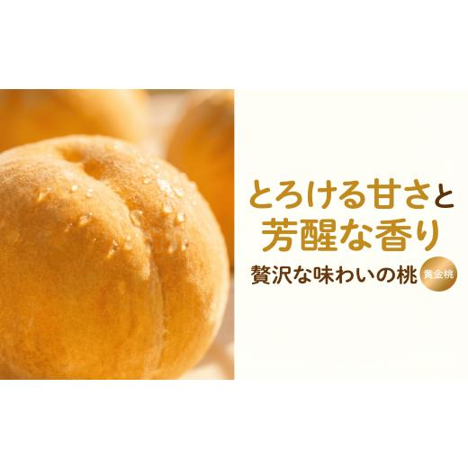 ふるさと納税 もも 岩手県 平泉町 黄金桃 とろける甘さと芳醇な香り 約2.5kg(7〜10玉)岩手県平泉町 大文字りんご園 dma501-og 黄金桃