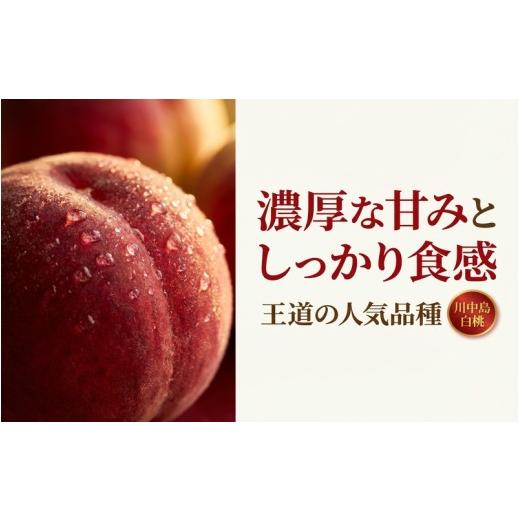 ふるさと納税 もも 岩手県 平泉町 川中島白桃 濃厚な甘みとしっかり食感 約2.5kg(7〜10玉)岩手県平泉町 大文字りんご園 dma501-kw 川中島白桃