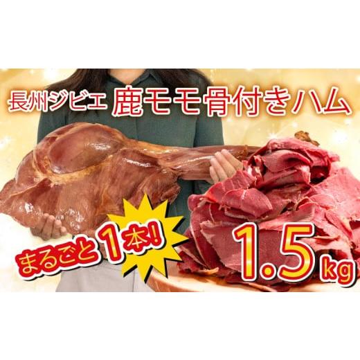 ふるさと納税 鹿肉 山口県 下関市 訳あり 骨付き 鹿 もも 肉 ハム 1.5kg まるごと 1本 冷凍 保存可 ( 鹿肉 シカ しか ジビエ 簡単調理 惣菜 加工品 晩ごはん …