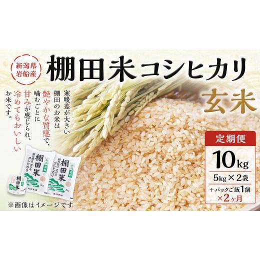 ふるさと納税 玄米 新潟県 村上市 定期便:2ヶ月連続でお届け 令和7年産米 新潟県村上市岩船産 棚田米コシヒカリ 玄米10kg + 棚田米コシヒカリのパックごは…