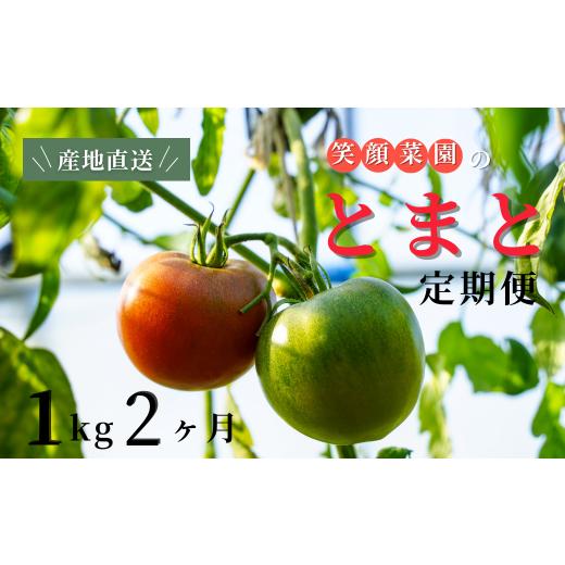 ふるさと納税 野菜類 トマト 北海道 美瑛町 定期便・全2回 笑顔菜園ひらまつの大玉トマト(トマト) 1kg(60サイズ)×2回 | 新鮮野菜 旬の野菜 ヘルシー 健康 …