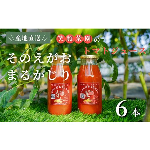 ふるさと納税 野菜類 トマト 北海道 美瑛町 無塩・無加水 毎日飲みたくなる大玉トマト100%ジュース そのえがおまるかじり 180ml×6本| 新鮮野菜 旬の野菜 ヘ…