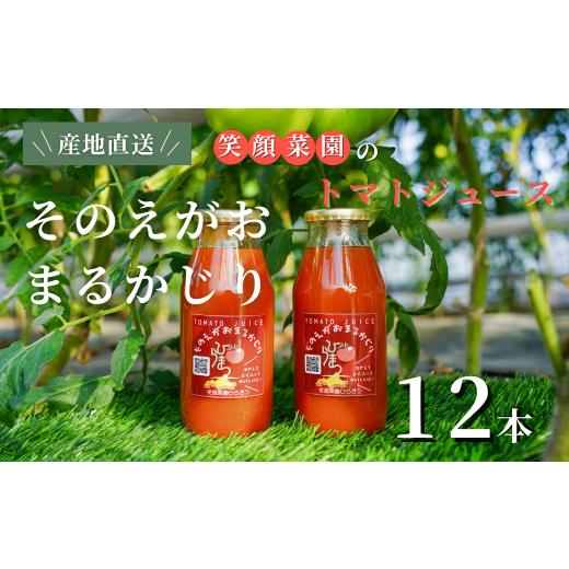 ふるさと納税 野菜類 トマト 北海道 美瑛町 無塩・ 無加水 毎日飲みたくなる大玉トマト100%ジュース そのえがおまるかじり 180ml×12本| 新鮮野菜 旬の野菜 …