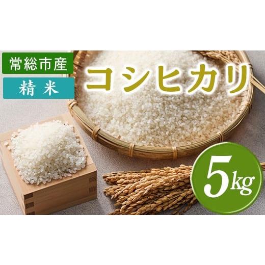 ふるさと納税 米 コシヒカリ 茨城県 常総市 令和7年産 精米 コシヒカリ 5kg 茨城県常総市産