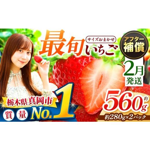 ふるさと納税 いちご 栃木県 真岡市 2月発送 大人気 最旬とちあいか 約560g 2パック いちご | 1月 2月 3月 おいしい 取り寄せ プレゼント | 生産量 日本一 果…