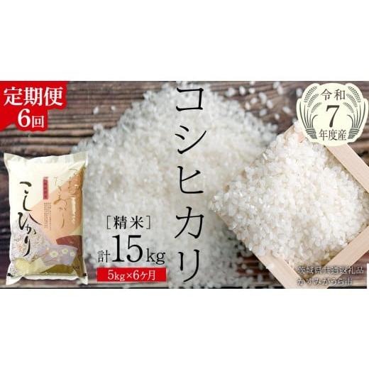 ふるさと納税 米 コシヒカリ 茨城県 桜川市 6ヶ月 定期便 令和7年産 コシヒカリ 精米 5kg × 6回 ( 合計 30kg )(茨城県共通返礼品かすみがうら市)新米 米 …