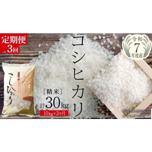ふるさと納税 米 コシヒカリ 茨城県 桜川市 3ヶ月 定期便 令和7年産 コシヒカリ 精米 10kg × 3回 ( 合計 30kg )(茨城県共通返礼品かすみがうら市)米 もっ…