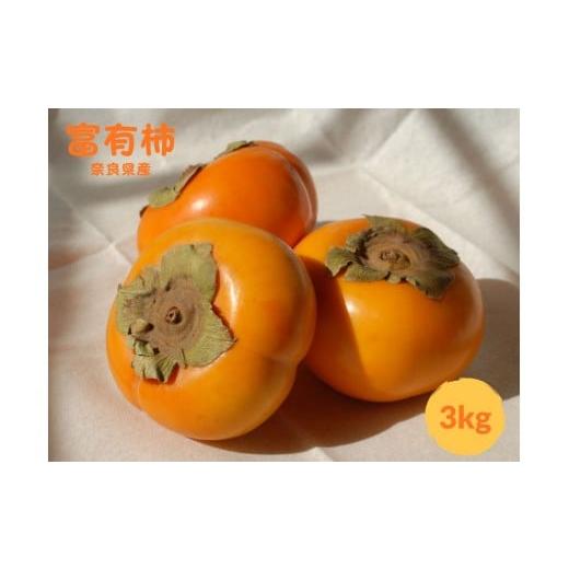 ふるさと納税 果物類 柿 奈良県 三宅町 畑中さん家の柿 富有柿 約3kg