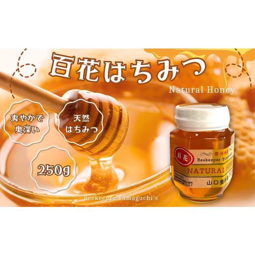 ふるさと納税 加工品等 はちみつ 長野県 佐久穂町 信州特産 「国産純粋 天然 百花はちみつ」250g YY-102-1 250g