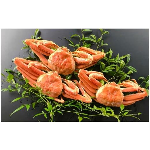 ふるさと納税 カニ 松葉ガニ 鳥取県 米子市 浜ゆで 松葉蟹(足折れ)1.0kg以上(2〜3杯)