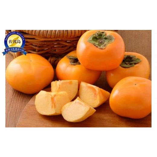 ふるさと納税 果物類 柿 新潟県 佐渡市 先行予約 さわし柿 新潟佐渡産柿5kg