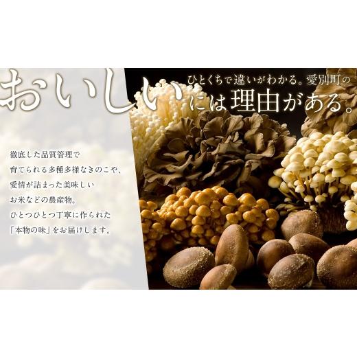 ふるさと納税 米 ゆめぴりか 北海道 愛別町  4回定期便 ゆめぴりか（2合×5パック） ×4回 計6kg｜ 最上品質米 ご飯 ごはん 米 お米 おこめ ライス こめ コメ …_7