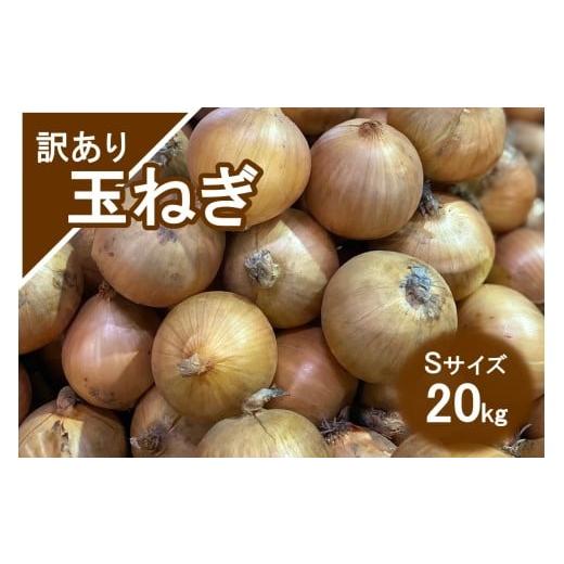 ふるさと納税 野菜類 玉ねぎ 北海道 北見市 訳アリ 玉ねぎ 20kg Sサイズ ( 北海道産 野菜 たまねぎ わけあり )