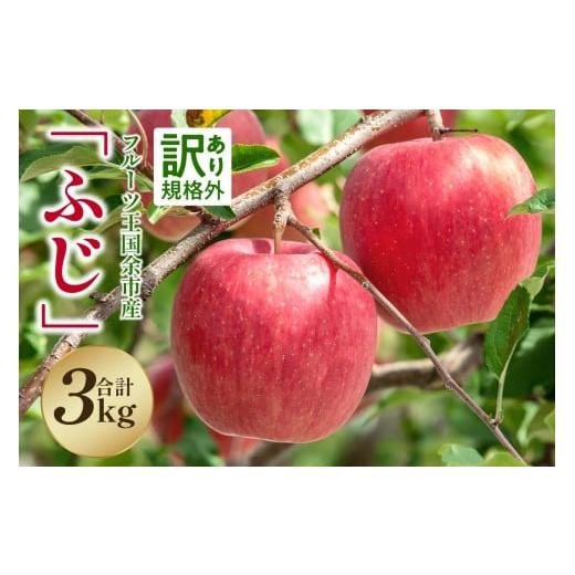 ふるさと納税 りんご 北海道 余市町 2025年11月下旬より発送 フルーツ王国余市産訳あり「ふじ」3kg ニトリ観光果樹園