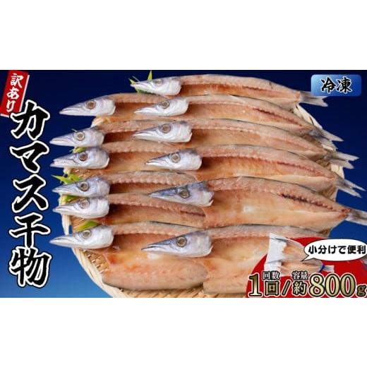 ふるさと納税 干物 カマス 高知県 安芸市 カマスの干物 4袋(約8枚) 1回分 1回分 4袋 (約8枚)
