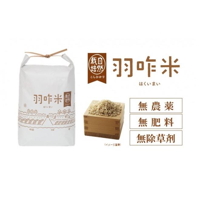 ふるさと納税 玄米 石川県 羽咋市 令和7年産 コシヒカリ （10kg × 6回