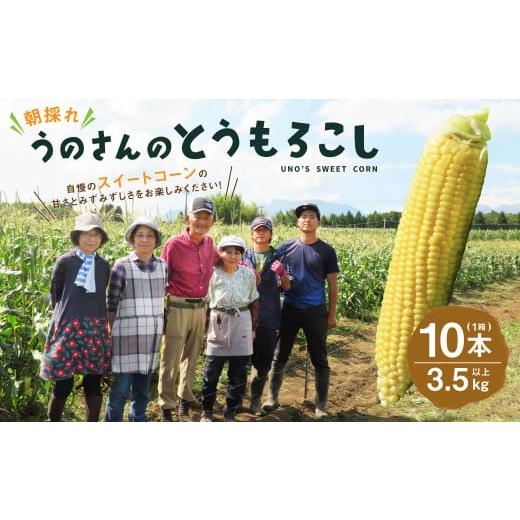 ふるさと納税 とうもろこし 大分県 竹田市 卯野農場 産地直送 生でも美味しい 朝採れ スイートコーン 10本 3.5kg以上 とうもろこし コーン 2026年7月上旬-8月…