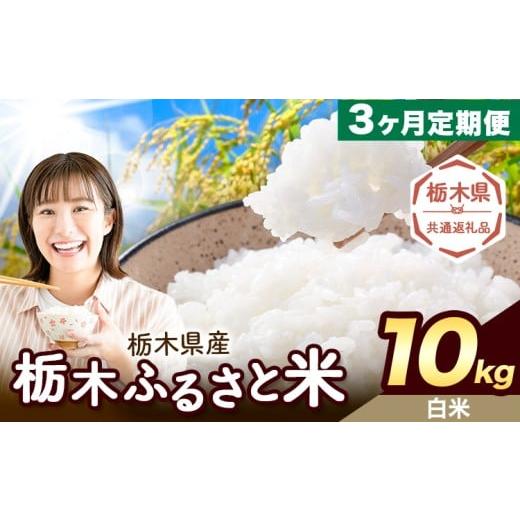 ふるさと納税 米 栃木県 野木町 3ヶ月定期便 米 栃木 ふるさと米 白米 10kg (5kg×2袋)[翌々月より出荷開始]栃木県 野木町 米 国産 お米 おこめ お弁当 お…