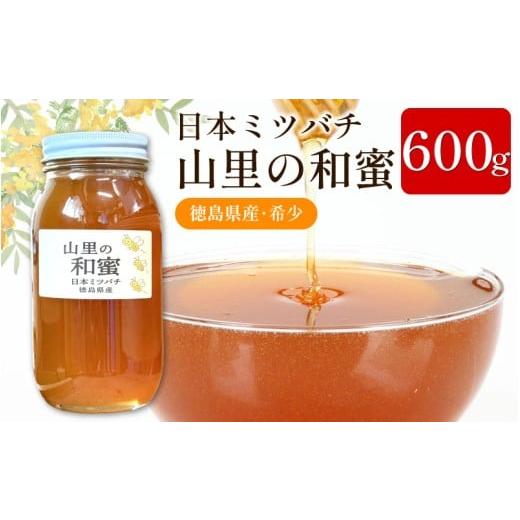 ふるさと納税 加工品等 はちみつ 徳島県 三好市 はちみつ 国産 日本みつばち 蜂蜜 600g ニホンミツバチ 純粋はちみつ 生はちみつ 百花はちみつ 百花蜂蜜 完熟 …