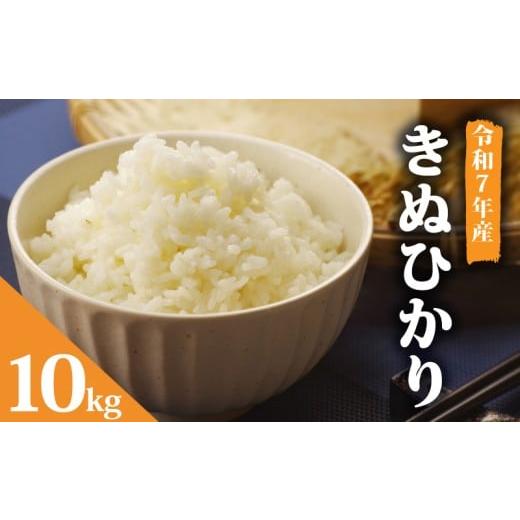 ふるさと納税 米 滋賀県 竜王町 令和7年産 新米 予約 米 キヌヒカリ 10kg きぬひかり お米 国産 滋賀県 竜王町産 精米 ライス 白飯 ご飯 ゴハン こめ おこめ …