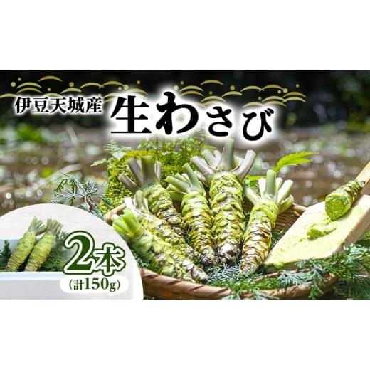 ふるさと納税 野菜類 薬味 静岡県 河津町 伊豆天城産 生わさび 2本 計150g 調味料 薬味 わさび 山葵 生山葵 ワサビ 生ワサビ 刺身 寿司 新鮮 河津町産 静岡県…