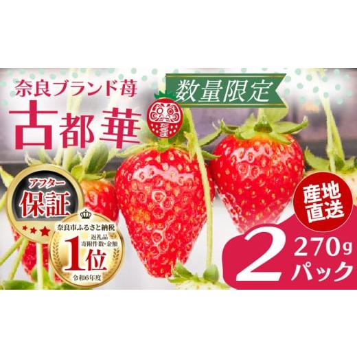 ふるさと納税 いちご 奈良県 奈良市 いちご 古都華 270g×2パック 数量限定 苺 イチゴ ブランド 大粒 旬 産地直送 フルーツ 果物 冷蔵 フレッシュ 小分け 国…