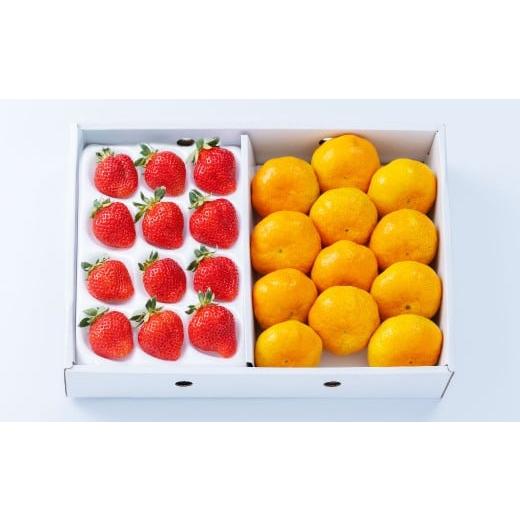 ふるさと納税 果物の詰合せ 福岡県 みやま市 A331 福岡県産あまおう&山川みかん詰合せ(あまおう12-15粒、山川みかん9-12玉) いちご イチゴ 苺 みかん ミカ…