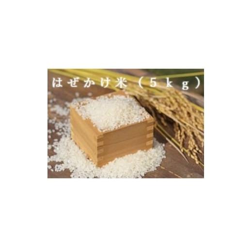 ふるさと納税 米 長野県 中野市 お米 コシヒカリ(はぜかけ米)精米 5kg 1639180