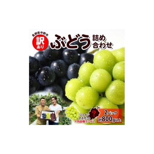 ふるさと納税 ぶどう 長野県 中野市 2026年先行受付 訳あり ぶどう 房 2種 食べ比べ 計2パック(計800g以上) 信州丸幸農園 1671026
