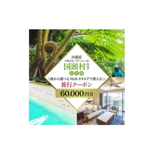 ふるさと納税 イベントやチケット等 沖縄県 国頭村 沖縄ツアー 沖縄本島最北やんばる国頭村 後から選べるWebカタログ旅行クーポン(60,000円分) 1684159
