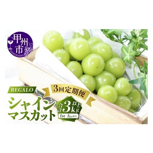 ふるさと納税 ぶどう マスカット 山梨県 甲州市 シーズン中3回お届け定期便 頬張る幸福感〜緑の宝石・シャインマスカット〜1kg以上 2〜3房 2026年発送 (RG)…