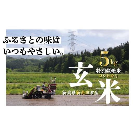 ふるさと納税 玄米 新潟県 新発田市 令和7年産 玄米 特別栽培米 コシヒカリ 5kg 減農薬 特栽米 新潟県産 新潟米 新発田産 新潟 新潟県 新発田市 蔵光グリーン…