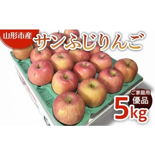 ふるさと納税 果物類 山形県 山形市 ご家庭用 サンふじリンゴ 5kg (12〜20玉) FY25-359