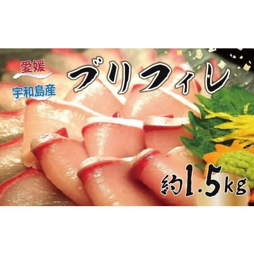 ふるさと納税 旬の鮮魚等 愛媛県 宇和島市 ブリ フィレ 約1.5kg 有限会社 アクアプラス ブランド魚 鰤 ぶり 刺身 お刺身 刺し身 お刺し身 フィーレ 加工 魚 し…
