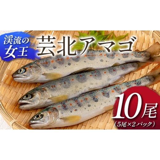 ふるさと納税 川魚 やまめ 広島県 北広島町 「渓流の女王」芸北アマゴ 10尾_OG065_017 10尾(5尾×2パック)