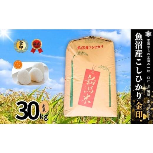 ふるさと納税 玄米 新潟県 十日町市 令和7年産 魚沼産コシヒカリ金印(玄米)30kg 米 お米 こしひかり 玄米 中魚沼 新潟県 十日町市