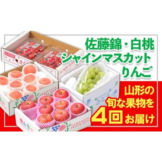 ふるさと納税 果物類 山形県 山形市 定期便4回 フルーツ王国山形 佐藤錦・白桃・シャインマスカット・りんご FY25-358