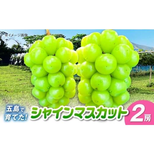 ふるさと納税 ぶどう マスカット 長崎県 五島市 シャインマスカット 2房 五島市/HPIファーム