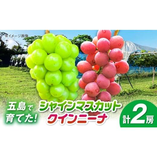 ふるさと納税 ぶどう マスカット 長崎県 五島市 シャインマスカット1房&クイーンニーナ1房 五島市/HPIファーム