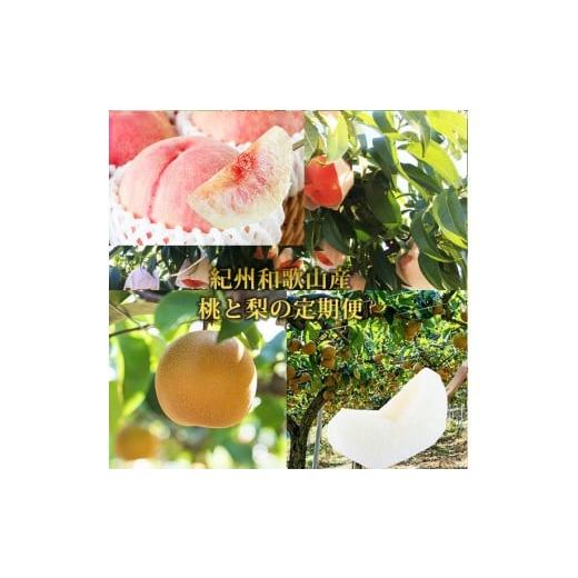 ふるさと納税 もも 和歌山県 九度山町 全2回 定期便 紀州和歌山産旬のフルーツセット(7月:桃約1.8kg・8月:梨約2kg) [UT140]