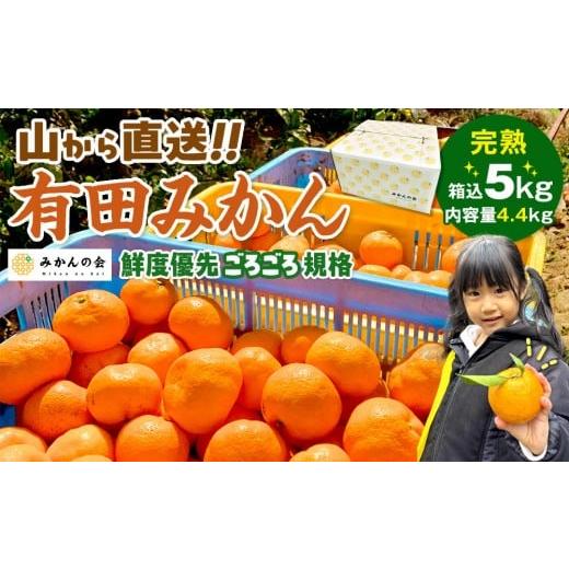 ふるさと納税 果物類 みかん 和歌山県 有田川町 年末発送指定 12月25日〜12月29日配送 みかん 山から直送 箱込 5kg ( 内容量約 4.4kg ) 鮮度優先ごろごろ規格…