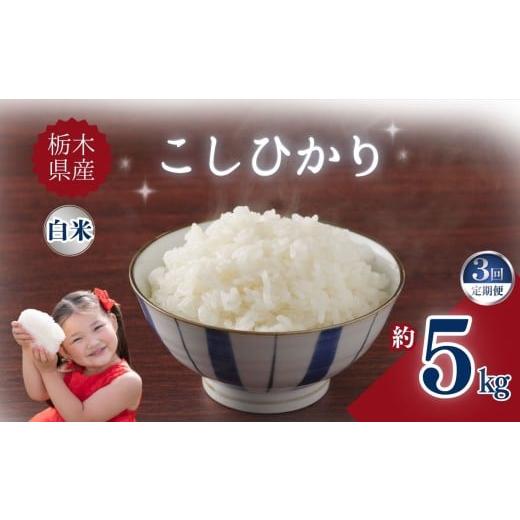 ふるさと納税 米 コシヒカリ 栃木県 矢板市 定期便3回 栃木県産こしひかり 5kg | お米 米 こめ ご飯 美味しい ふるさと 栃木県 矢板市 栃木県共通返礼品 ブラ…