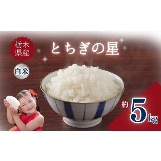 ふるさと納税 米 コシヒカリ 栃木県 矢板市 栃木県産とちぎの星 5kg | お米 米 こめ ご飯 美味しい ふるさと 栃木県 矢板市 栃木県共通返礼品 ブランド米 単品…