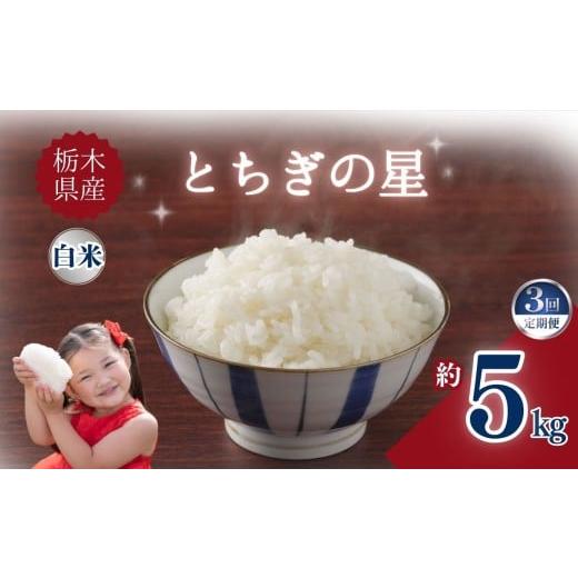 ふるさと納税 米 コシヒカリ 栃木県 矢板市 定期便3回 栃木県産とちぎの星 5kg | お米 米 こめ ご飯 美味しい ふるさと 栃木県 矢板市 栃木県共通返礼品 ブラ…