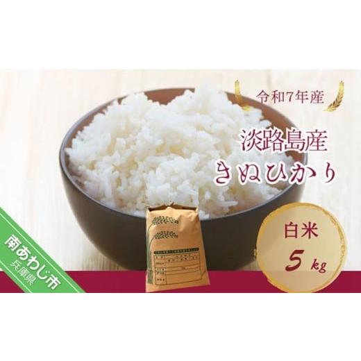 ふるさと納税 米 兵庫県 南あわじ市 令和7年産新米 淡路島産キヌヒカリ 白米5kg