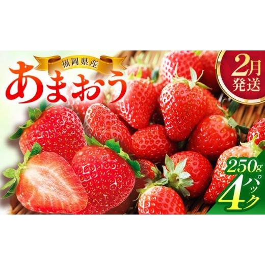 ふるさと納税 いちご 福岡県 篠栗町 2月発送 福岡県産あまおう約250g×4パック 2月発送
