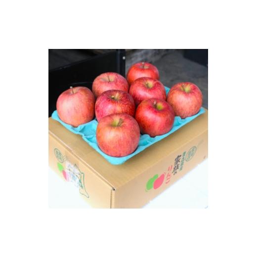 ふるさと納税 りんご 青森県 大鰐町 2025年12月発送予定 糖度13度以上保証 サンふじおもてなし用約3kg(6〜18玉) 1682989